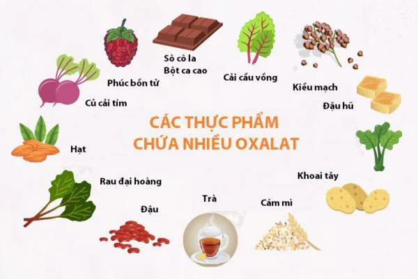 Các loại thực phẩm giàu oxalate như rau bina, các loại hạt